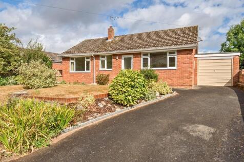 Photos
