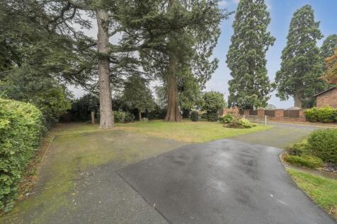 Photos