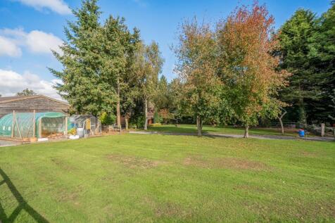 Photos