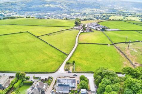 dji_0431.jpg