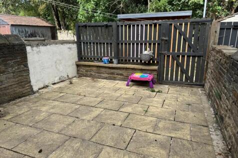 Back yard.jpg