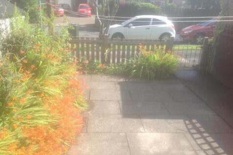 garden back.jpg