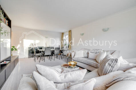 20251117-DSC09725...