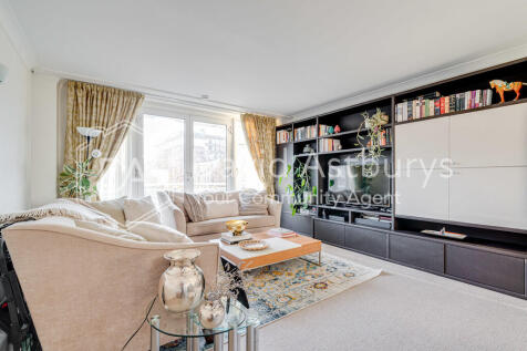 20251117-DSC09737...