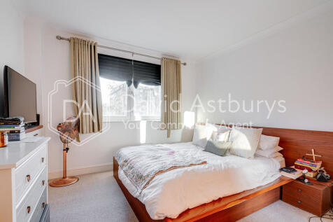 20251117-DSC09750...