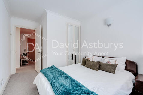 20251117-DSC09795...