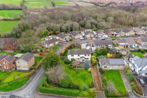 DJI_20240318113350_0077_D-Enhanced-NR-Edit.jpg
