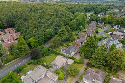DJI_20240827114453_0762_D-Enhanced-NR-Edit.jpg