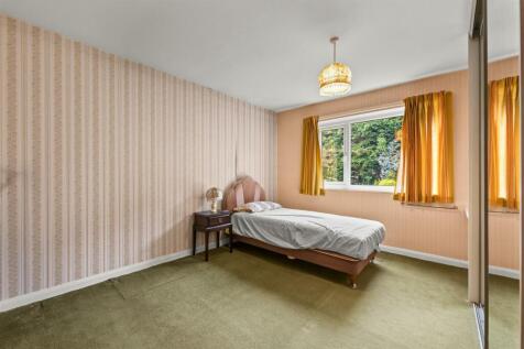 P1451769-Edit.jpg