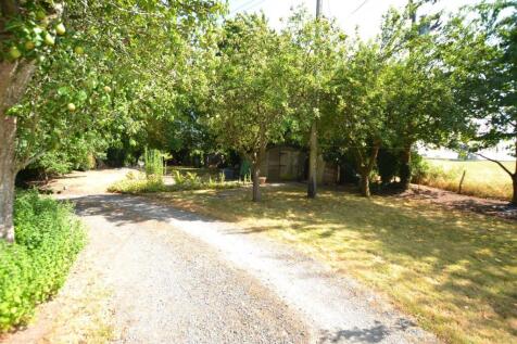 garden 4.jpg