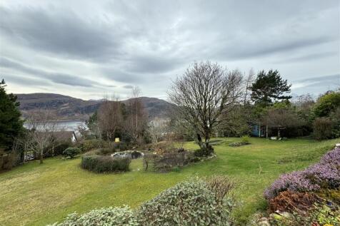 REAR GARDEN 2.JPG