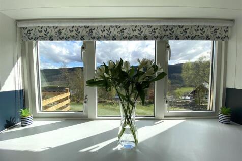 KITCHEN WINDOW.JPG