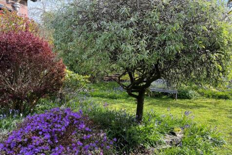 GARDEN CLIENT 3.jpg