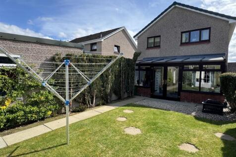 BACK GARDEN.JPG