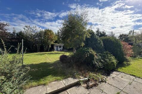 REAR GARDEN 1.JPG