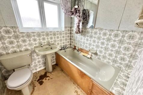 IMG-20251014-WA00...