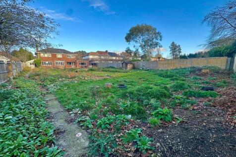 IMG-20251119-WA00...