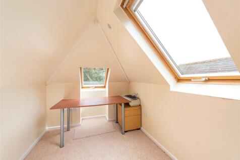 Study Area