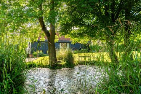 Pond