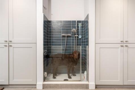 Dog Shower