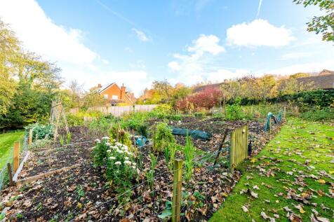 Vegetable Garden