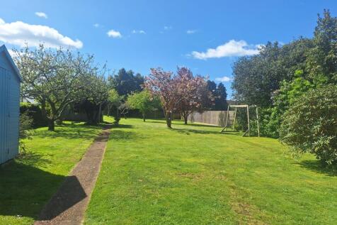 Summer Garden