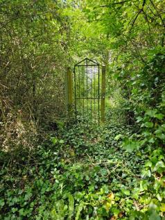 Property Image 32