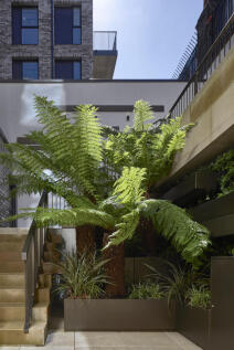 2 Bed Garden 1.jpg