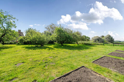 Land/Orchard