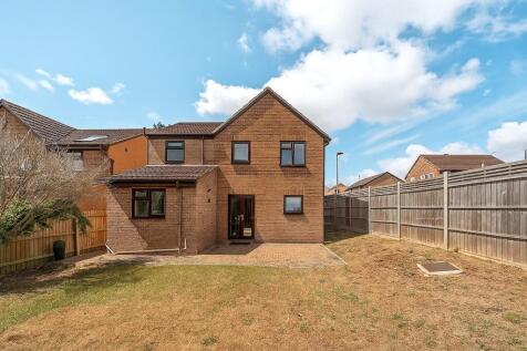 Rear Elevation