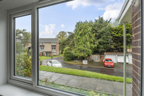 Front Window View
