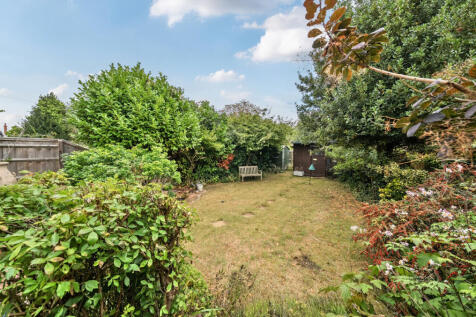 South Facing Garden
