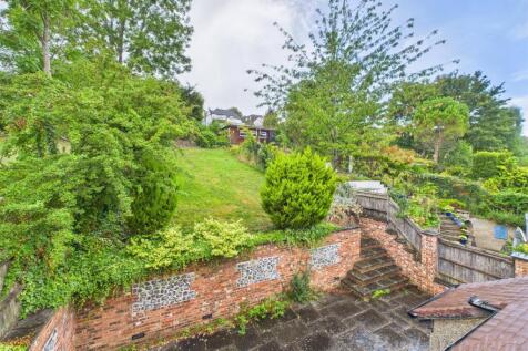 Back garden .jpg