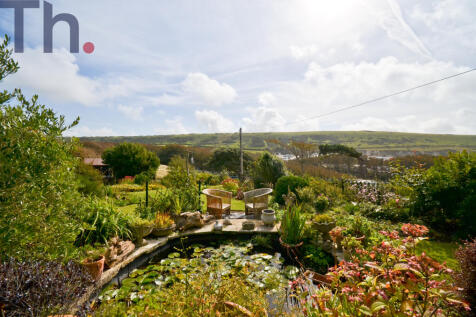 Garden and Pond.JPG