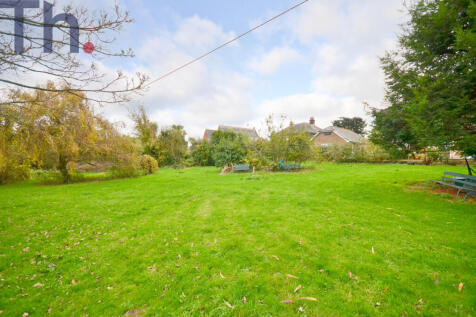 Sizeable Garden.JPG