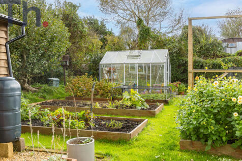 Vegetable plots &amp; Greenhouse