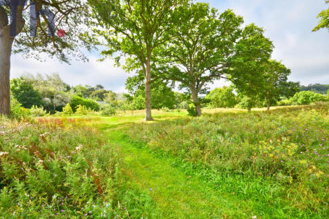 Communal Grounds &amp; Woodland.JPG