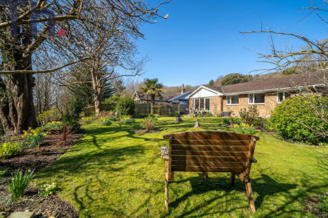 Pretty Rear Garden
