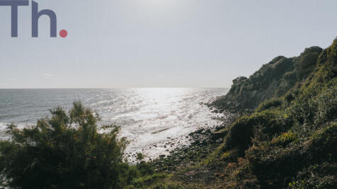 DJI_20241004160830_0384_D