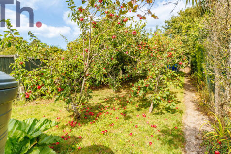 Orchard