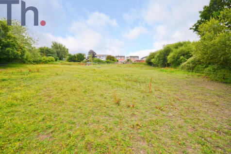 Large Horse Field 1.JPG