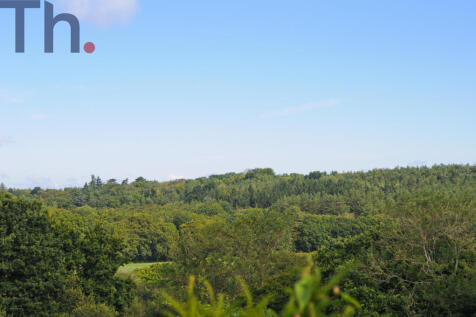 Views of Firestone Copse.JPG