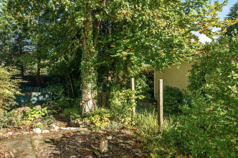 Side Garden