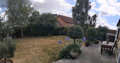 Summer Photo 4