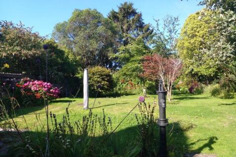 Summer Garden