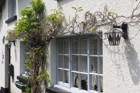 Wisteria to Front...