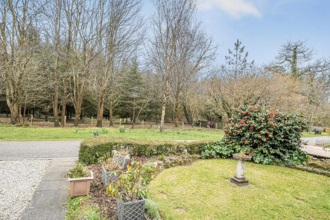 Front Garden 1