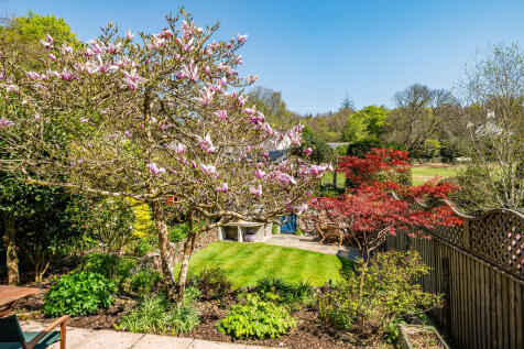 Garden 4 (2)