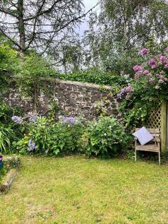 Garden photo 1