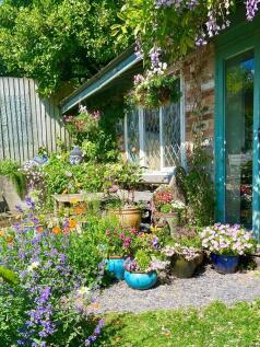 Garden photo